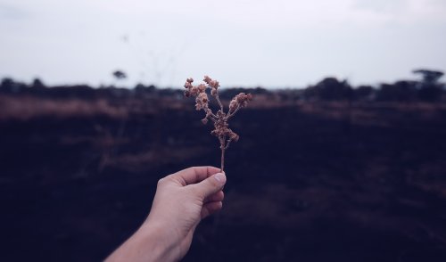 科學(xué)認(rèn)證：你意想不到的生活習(xí)慣，能逆轉(zhuǎn)老化-貴陽精神病醫(yī)院